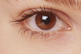 进口好物推荐，品质生活的必备选择