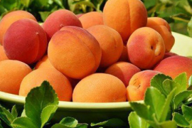 亚麻籽油，一种可饮用的健康之选