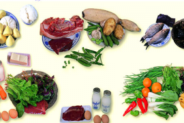 营养健康膳食,开启科学饮食新篇章 营养健康膳食,开启科学饮食新篇章