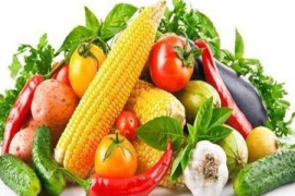 健康饮食，营养先行—打造你的个性化营养手抄报
