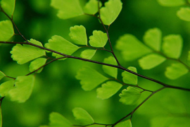 范老师说男性健康，为何重要与如何维护