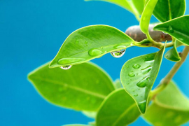 健康养生软件,现代人的健康管理助手