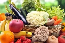 揭秘健康管理师与营养师,职责重叠,却各具特色