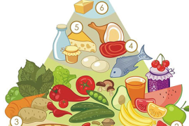 穿越迷雾，解锁健康密码—医学健康科普知识全解析