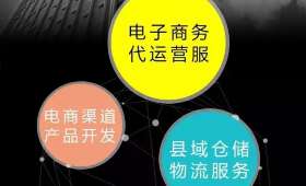 金融科技助力农村电商发展的关键角色判断